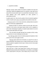 Referāts 'Uzņēmuma finansēšanas avoti', 21.