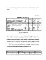 Referāts 'Uzņēmuma finansēšanas avoti', 30.