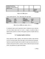 Referāts 'Uzņēmuma finansēšanas avoti', 31.