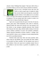 Referāts 'Japāņu tējas ceremonija', 15.