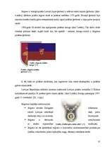 Diplomdarbs 'Pašvaldības loma tūrisma attīstībā Jelgavā', 32.