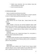 Diplomdarbs 'Pašvaldības loma tūrisma attīstībā Jelgavā', 48.