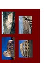 Prezentācija 'Senā Roma', 8.