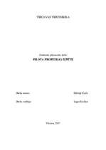 Referāts 'Pilota profesijas izpēte', 1.