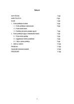 Referāts 'Pilota profesijas izpēte', 2.