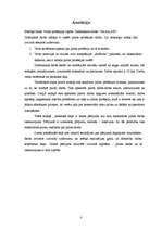 Referāts 'Pilota profesijas izpēte', 3.