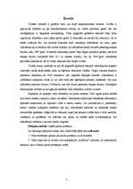 Referāts 'Pilota profesijas izpēte', 5.