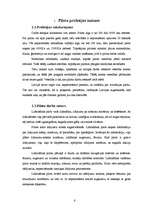 Referāts 'Pilota profesijas izpēte', 6.