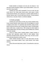 Referāts 'Pilota profesijas izpēte', 7.