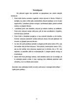 Referāts 'Pilota profesijas izpēte', 13.