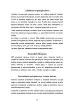 Referāts 'Pilota profesijas izpēte', 18.