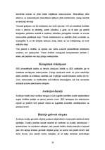 Referāts 'Pilota profesijas izpēte', 19.