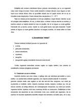 Referāts 'Smēķēšana', 6.