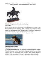 Konspekts 'Portfolio, metodiskā mape', 4.