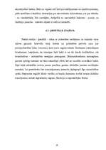 Referāts 'Klasiskā psihoanalīze', 19.