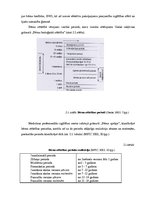 Diplomdarbs 'Kooperatīvā mācīšanās skolēnu motivācijas veicināšanai ģeogrāfijas stundās pamat', 29.