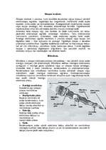 Konspekts 'Kino', 1.