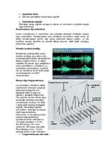 Konspekts 'Kino', 2.