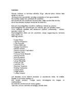 Konspekts 'Kino', 5.