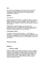 Konspekts 'Kino', 7.