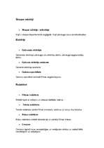 Konspekts 'Kino', 10.