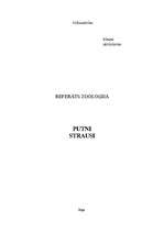 Referāts 'Strausi', 1.