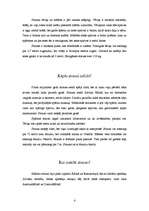 Referāts 'Strausi', 4.