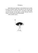 Referāts 'Strausi', 8.