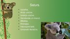 Prezentācija 'Koala', 2.