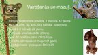 Prezentācija 'Koala', 6.