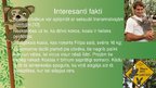 Prezentācija 'Koala', 9.