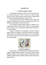 Referāts 'Pārtikas produktu marķēšana', 4.
