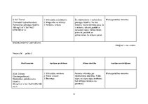 Prakses atskaite 'Aprūpes plāns. Trijzara neiralģija', 13.