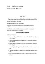 Paraugs 'Uzņēmuma un pamatlīdzekļu politika', 2.