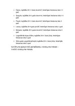 Paraugs 'Uzņēmuma un pamatlīdzekļu politika', 3.