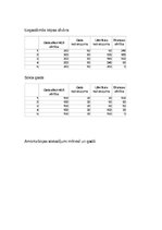 Paraugs 'Uzņēmuma un pamatlīdzekļu politika', 7.