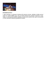 Eseja 'Rentgena starojums', 5.