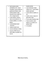 Konspekts 'Romiešu tiesību recepsija Latvijā', 4.