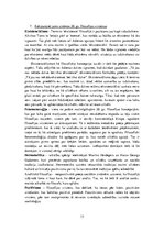 Paraugs 'Eksāmens filozofijā', 13.