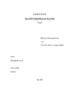 Biznesa plāns 'Biznesa plāns skaistumkopšanas salonam', 1.