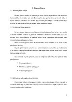 Biznesa plāns 'Biznesa plāns skaistumkopšanas salonam', 3.