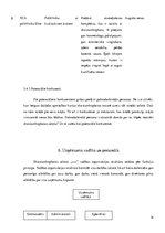 Biznesa plāns 'Biznesa plāns skaistumkopšanas salonam', 14.