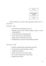 Biznesa plāns 'Biznesa plāns skaistumkopšanas salonam', 15.