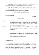 Biznesa plāns 'Biznesa plāns skaistumkopšanas salonam', 17.