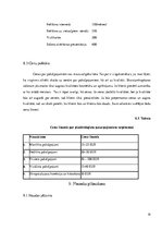 Biznesa plāns 'Biznesa plāns skaistumkopšanas salonam', 19.