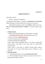 Biznesa plāns 'Biznesa plāns skaistumkopšanas salonam', 27.