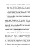 Referāts 'Tulkošanas teorija', 2.