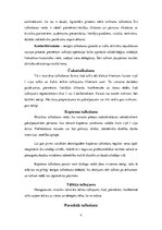 Referāts 'Tulkošanas teorija', 4.