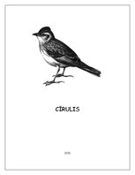 Referāts 'Cīrulis', 1.