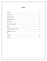 Referāts 'Cīrulis', 2.